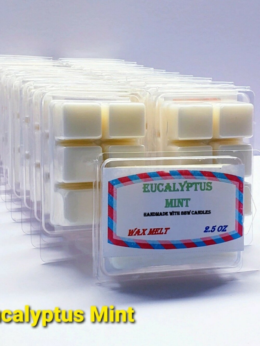 EUCALYPTUS MINT -Bath & Body Works Candle Wax Melts- $8 per pack